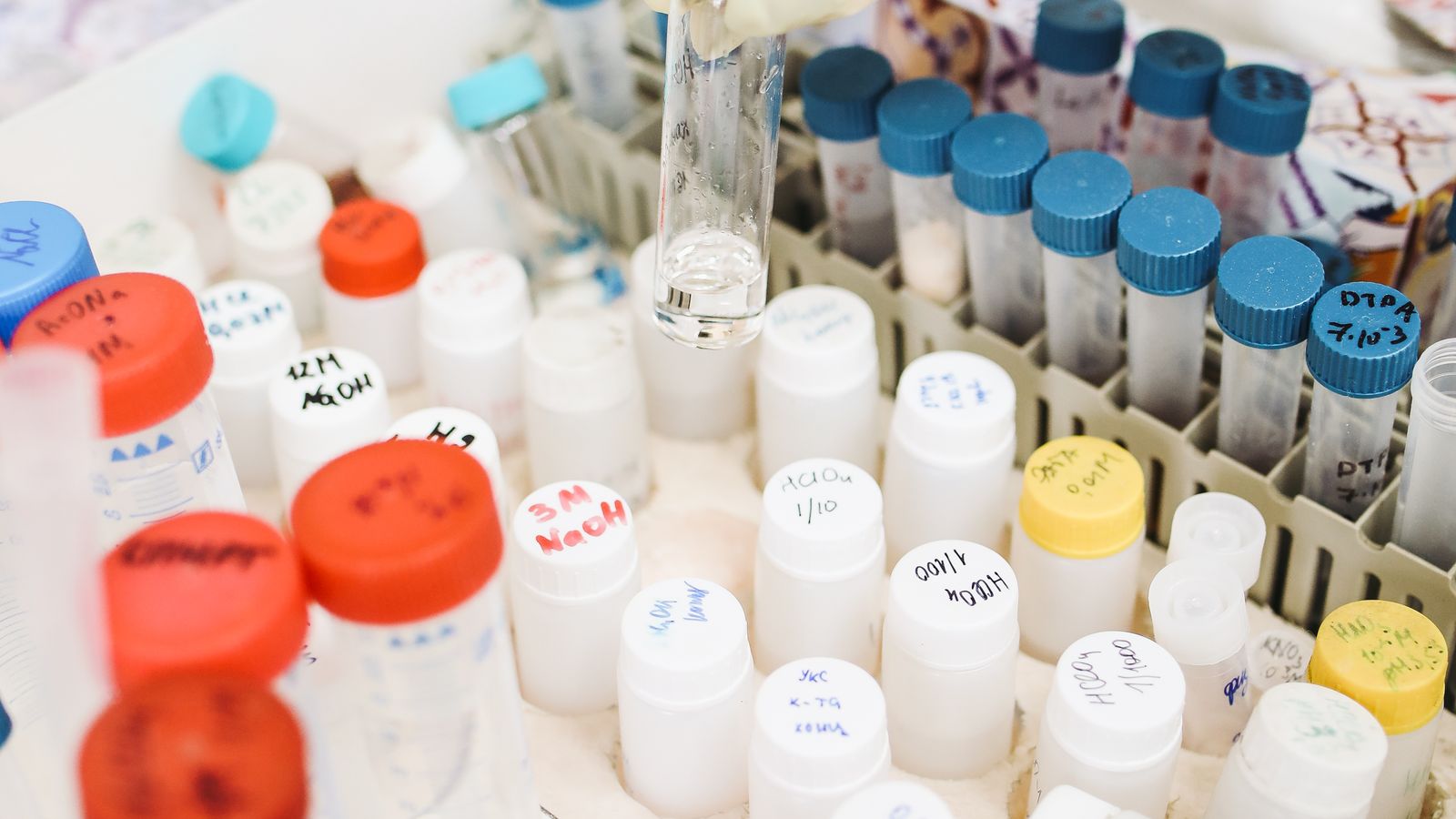 A gloved hand holds a rack of small glass test tubes in a laboratory setting.